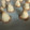 El cooksnap de Fernanda Rodriguez cuando hizo Coquitos veganos.