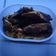 Cooksnap dari Roger Phantom Pirate untuk resep Cue tongkol sambal goreng nagih