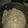 yolanda.m.maddox's cooksnap of when they made Shrimp Scampi.