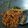 Cooksnap dari Shinta Nuragustina untuk resep Kering Tempe Pedas Manis
