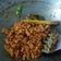 Cooksnap dari Shinta Nuragustina untuk resep Kering Tempe Pedas Manis