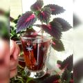 کوک اسنپ Ashpazye_parchin بعد از امتحان کردن دمنوش دارچین و به❤️.
