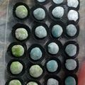 Cooksnap dari gina untuk resep Kue Mochi Isi Selai coklat Kacang