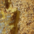 El cooksnap de Priscila cuando hizo Bizcocho de mandarina con cobertura de avellanas, almendras y cacahuetes 🍊🍰.