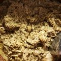 Katie's cooksnap of when they made Slow Cooker Jerk Chicken.