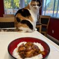 Lydia's cooksnap of when they made Lee's Simple Chicken Marinade.