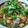 รูป Cooksnap ของ piya peipei เมื่อเขาทำ ข้าวหน้าไก่