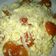 Cooksnap dari Emma Rosa untuk resep Scramble Eggs Keju Tomat