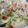 รูป Cooksnap ของ Nichakahn jitpitak เมื่อเขาทำ ยำวุ้นเส้นหมูสับ