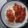El cooksnap de Isabel cuando hizo Alitas de pollo en salsa.