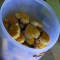 Cooksnap dari ariyani untuk resep Kue kacang