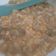 Cooksnap dari Dwi Wulandani untuk resep MPASI 1Y+ Oat Vegie with Egg