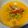 Cooksnap dari Dapuraldifa untuk resep Gulai telur ceplok