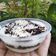 Cooksnap dari Anis Wulandari untuk resep Mini Oreo Cheese Cake Layak Jual