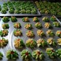 Cooksnap dari Mama Abzkia untuk resep Semprit susu 3 bahan
