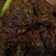 Cooksnap dari Ipar Siti Supartini untuk resep Rendang Daging Simple