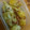 El cooksnap de Raquelilla cuando hizo Alcachofas salteadas con jamón.