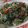Cooksnap dari Endah Mumpuni untuk resep Tumis daun pepaya Jepang