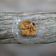 Cooksnap dari AniEz Sajha untuk resep Homemade Kentucky Fried Chicken