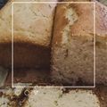 El cooksnap de Ximena Paz cuando hizo Budín de mandarina 🍊 hecho en licuadora.
