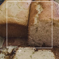 El cooksnap de Ximena Paz cuando hizo Budín de mandarina 🍊 hecho en licuadora.