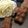 Cooksnap de Val _cuisine_simplement sur la recette Ourson guimauve facile et rapide