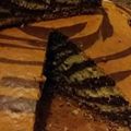 Cooksnap από Λίτσα Λιτσάκι στη συνταγή Κέικ ζέβρα 🦓