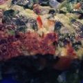 El cooksnap de Sole cuando hizo Tortilla de espinaca cruda 👩🏻‍🍳.