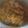 Cooksnap dari Niens untuk resep Asam Padeh Daging