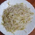 愛吃的小芸 的 炒豆芽菜 cooksnap