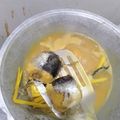 Cooksnap dari mega.ms untuk resep Pindang tongkol cakalang