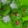 Cooksnap dari Lisna (@Lizarr_cake) untuk resep Kue cubit