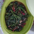 Cooksnap dari Benna Lita untuk resep Tumis kangkung sambal terasi pedas