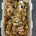 El cooksnap de Enrique molina cuando hizo Shawarma de pollo con verduras en la crockpot 🍗.