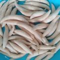 Cooksnap dari santi untuk resep Telur Gabus Keju/Cendol Keju Renyah Simple