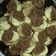 Cooksnap dari Zahra Ashalina untuk resep BolKus rasa Tiramisu