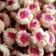 Cooksnap dari Mama Amy untuk resep Thumbrint Cookies