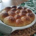 Saskia Aziza's cooksnap of when they made Honey Butter Dinner Rolls.