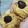 Cooksnap dari ayu tega ranti untuk resep Cookies Thumbprint Chocho Cheese