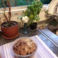El cooksnap de Marisa Vazquez cuando hizo Torta con harina integral de manzana fácil, rica y sana para diabéticos.