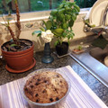 El cooksnap de Marisa Vazquez cuando hizo Torta con harina integral de manzana fácil, rica y sana para diabéticos.