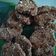 Cooksnap dari Ummu Keyzha untuk resep Choco Oat Cookies (cookies teflon)