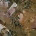 El cooksnap de eli avila cuando hizo Carne de puerco 🐷 con verdolagas 🌱 en salsa mixta 🍈🍅.