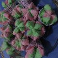 Cooksnap dari riris novianti untuk resep Bolu Kukus Mekar
