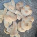 El cooksnap de las locura de luciana chaine cuando hizo Bizcochos Pan con grasa.