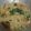Cooksnap dari Naning Yuliati untuk resep Mie Goreng Jawa Endul