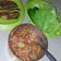 Cooksnap dari Iyen untuk resep Sambal Kecombrang