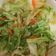 637 的 炒高麗菜 cooksnap