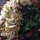 Cooksnap dari AuliHafiz untuk resep Plecing Kangkung