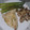 El cooksnap de Martita Roca cuando hizo Dorada y espárragos a la plancha con salsa de perejil y ajo.